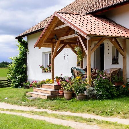 Zakatek Szczescia Eko Agroturystyka Kiwity 外观 照片