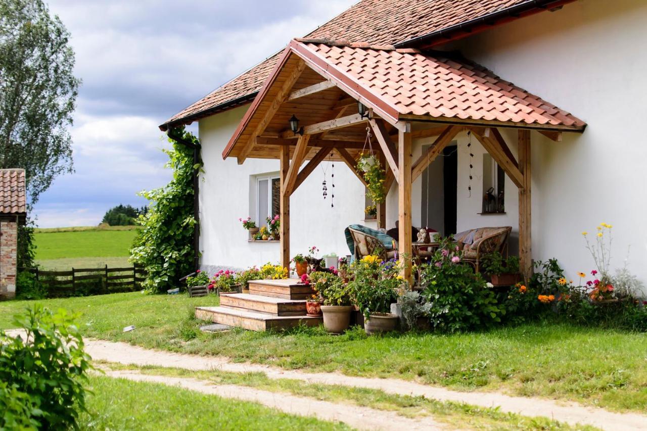 Zakatek Szczescia Eko Agroturystyka Kiwity 外观 照片