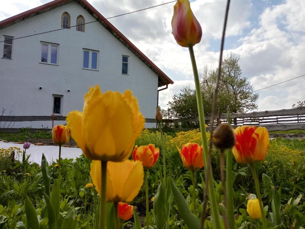 Zakatek Szczescia Eko Agroturystyka Kiwity 外观 照片