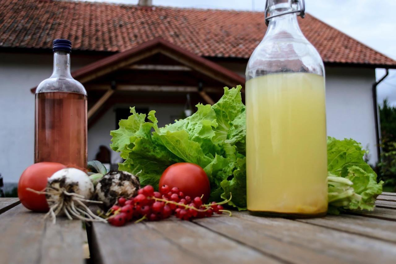 Zakatek Szczescia Eko Agroturystyka Kiwity 外观 照片