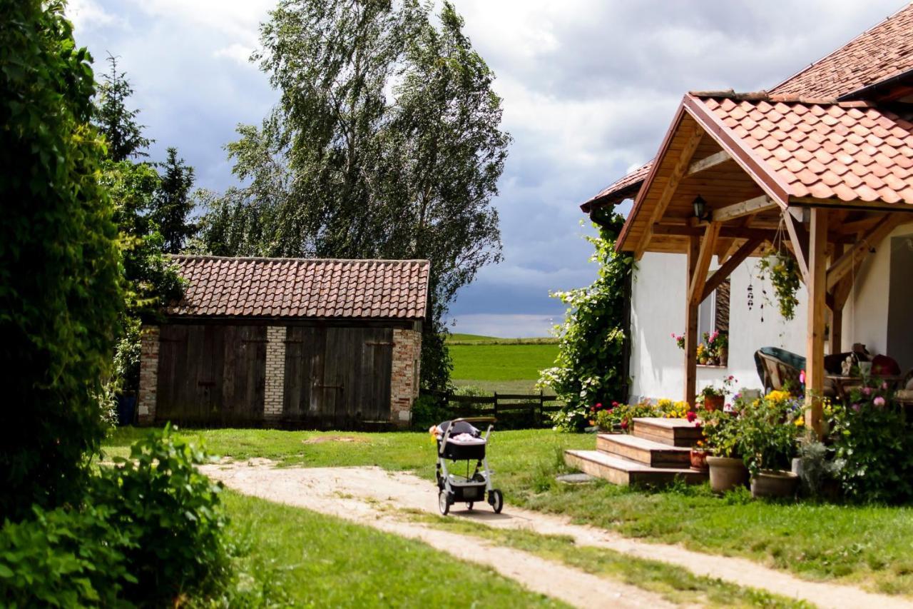Zakatek Szczescia Eko Agroturystyka Kiwity 外观 照片