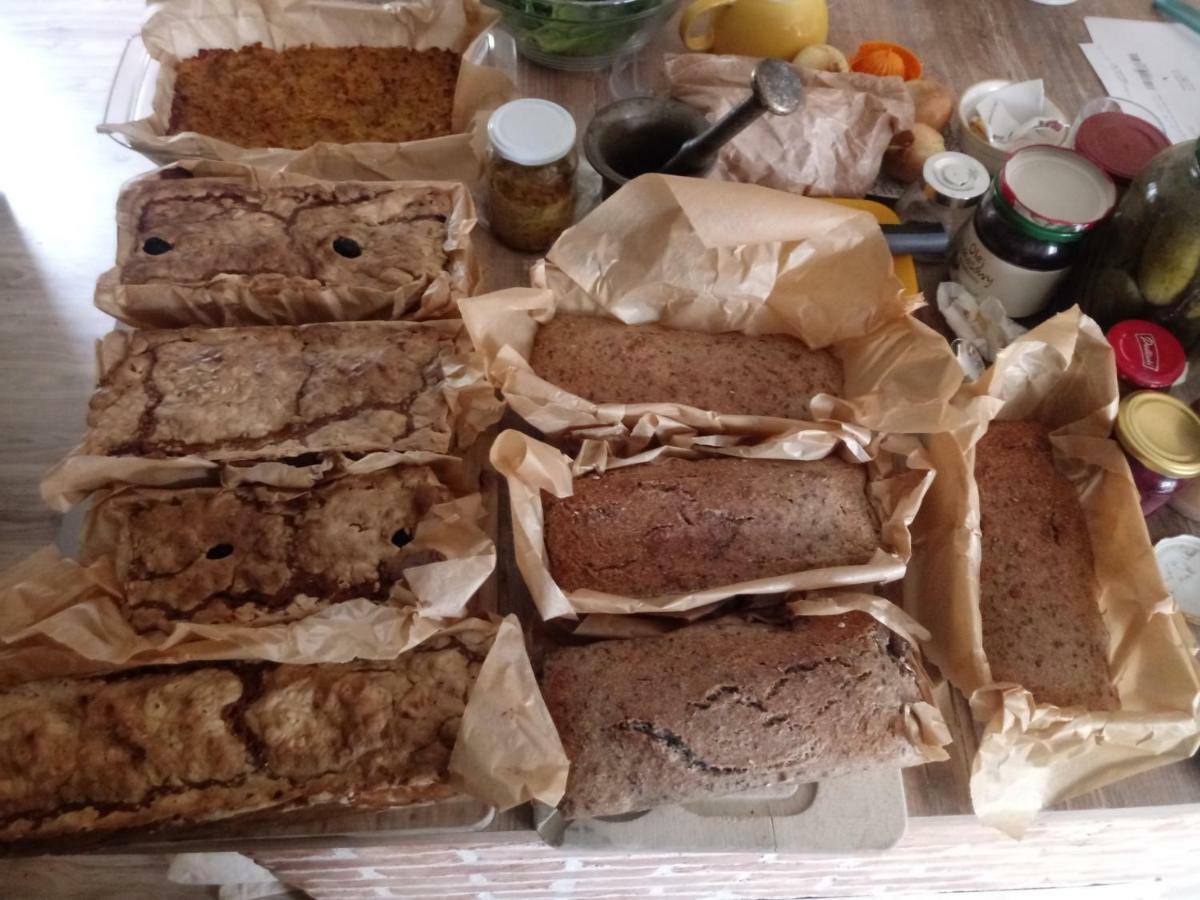 Zakatek Szczescia Eko Agroturystyka Kiwity 外观 照片